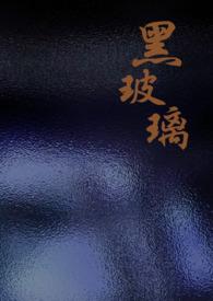 黑玻璃柜门效果图大全