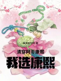 清穿康熙和阿哥们都喜欢女主