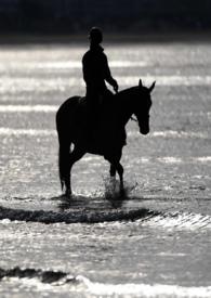 劫婚1-40集全免费