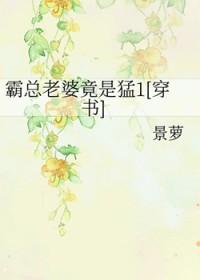 霸总宠妻之路免费
