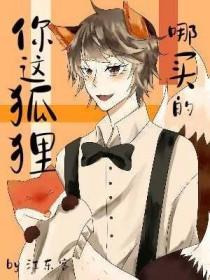 狐狸哪里有得买