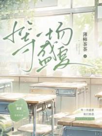 等一场盛夏全文TXT
