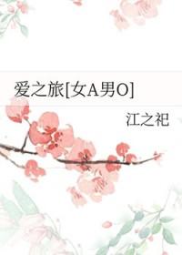 爱之旅英文翻译
