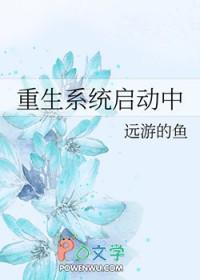 系统重新启动无法重启