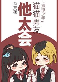 排球少年猫队是哪队