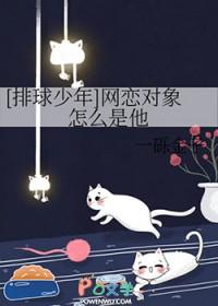 排球少年cp连线