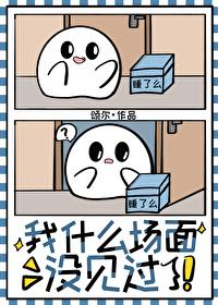 我什么场面没见过你歌词