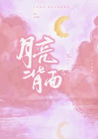 月亮背面电影