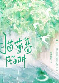 猫薄荷推荐 知乎