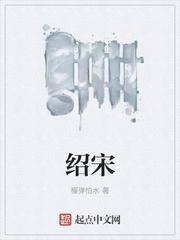 绍宋在线