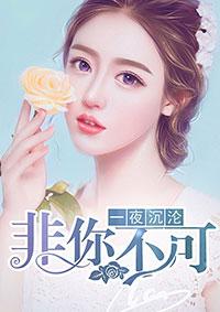 一夜沉论非你不可