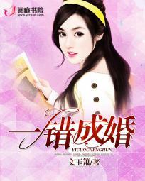一婚终成错