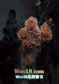 壁垒骨科np(江至疏)全文阅读_江至疏_格格