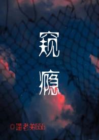 窥伺免费阅读
