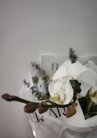 我的未婚妻欲求不满by小羽毛