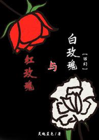 红玫瑰与白玫瑰讲了什么