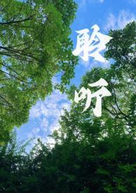 聆听作者