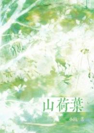 山荷叶花有没有毒