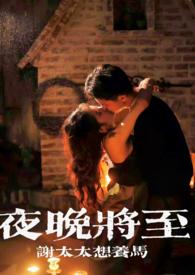 夜晚将至百度