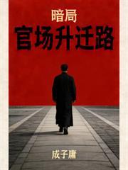 暗局官场升迁路完整版免费阅读