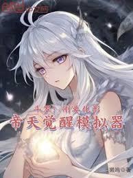帝天觉醒模拟器起点中