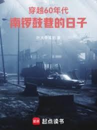 穿越60年代南锣鼓巷的日子叶大爷驾