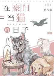 我在豪门当