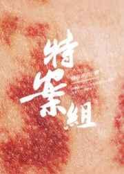 特殊案件调查组Vby易容术九