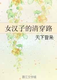 女汉子的清穿路 天下皆呆