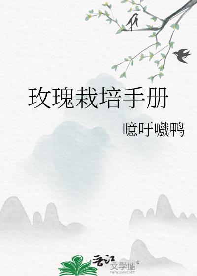 玫瑰种植技术视频教程