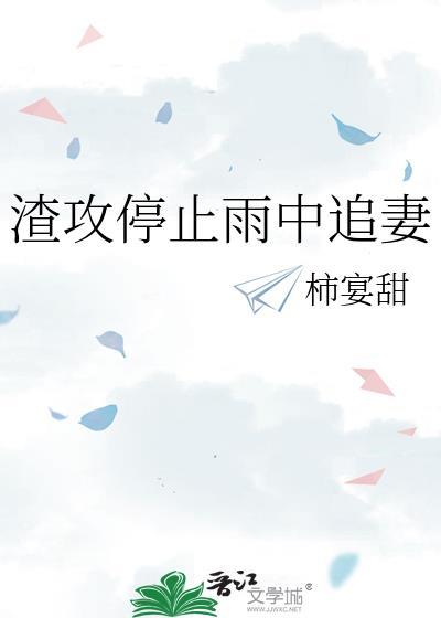 渣攻追妻的