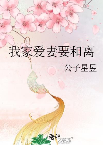 老婆要离婚免费阅读