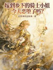嫁给骑士