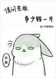 老板现在多少钱