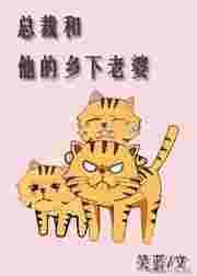 总裁和他的乡下老婆讲的是什么