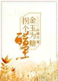 金玉为糖拐个醋王许乘月biqusa