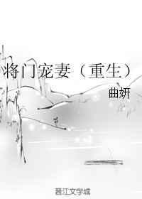 将门宠媳