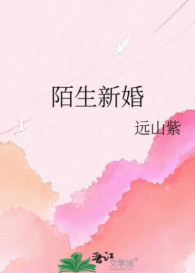陌生新婚远山紫免费阅读