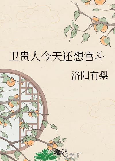 清穿卫贵人