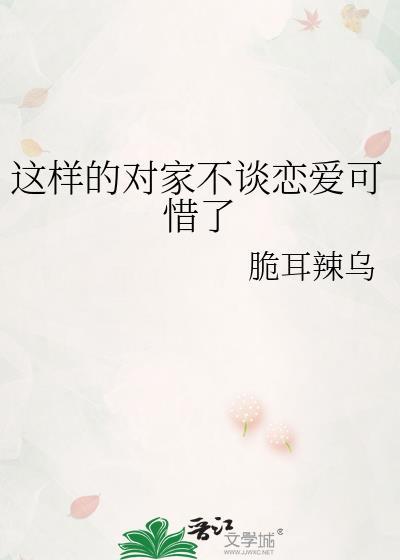对家没概念