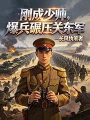 民国少帅争夺战