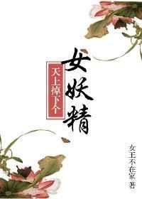 天上掉下个美娇娘百度