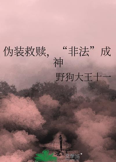 伪装案件