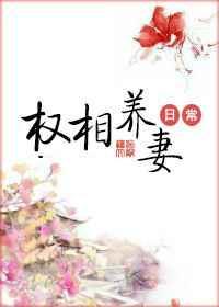 权相养妻日常56章