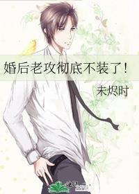 老攻结婚了新郎不是我&冬小星星糖