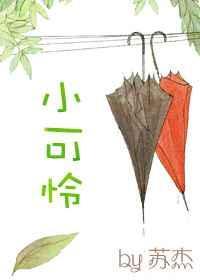 小可怜快穿手册免费阅读