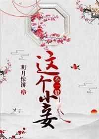 这个小妾不一般txt明月像饼