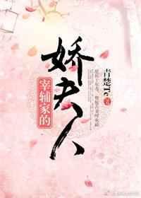 宰辅家的娇夫人好看吗