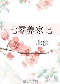 七零养家记 北佚晋江