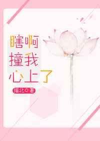 瞎呀撞我心上全文阅读